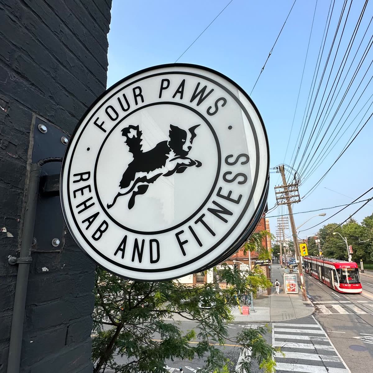 Round refaced blade sign with dog logo above a Queen St storefront